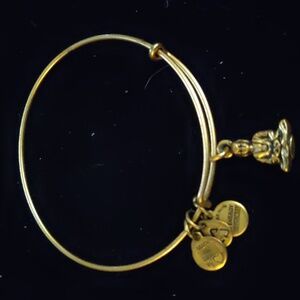 Alex and Ani Women's Gold Tone Bracelet - Buddha